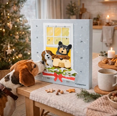 Hundens julkalender